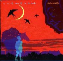 Camel - A nod and a wink